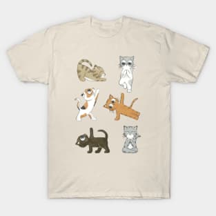 Cat yoga T-Shirt